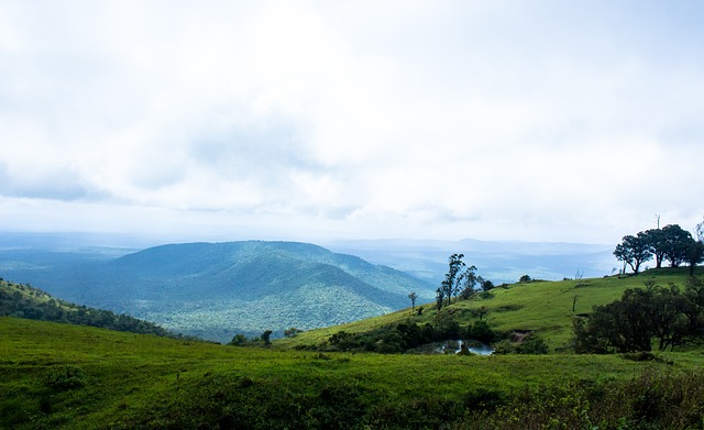 个人荣耀的 个人荣耀的
